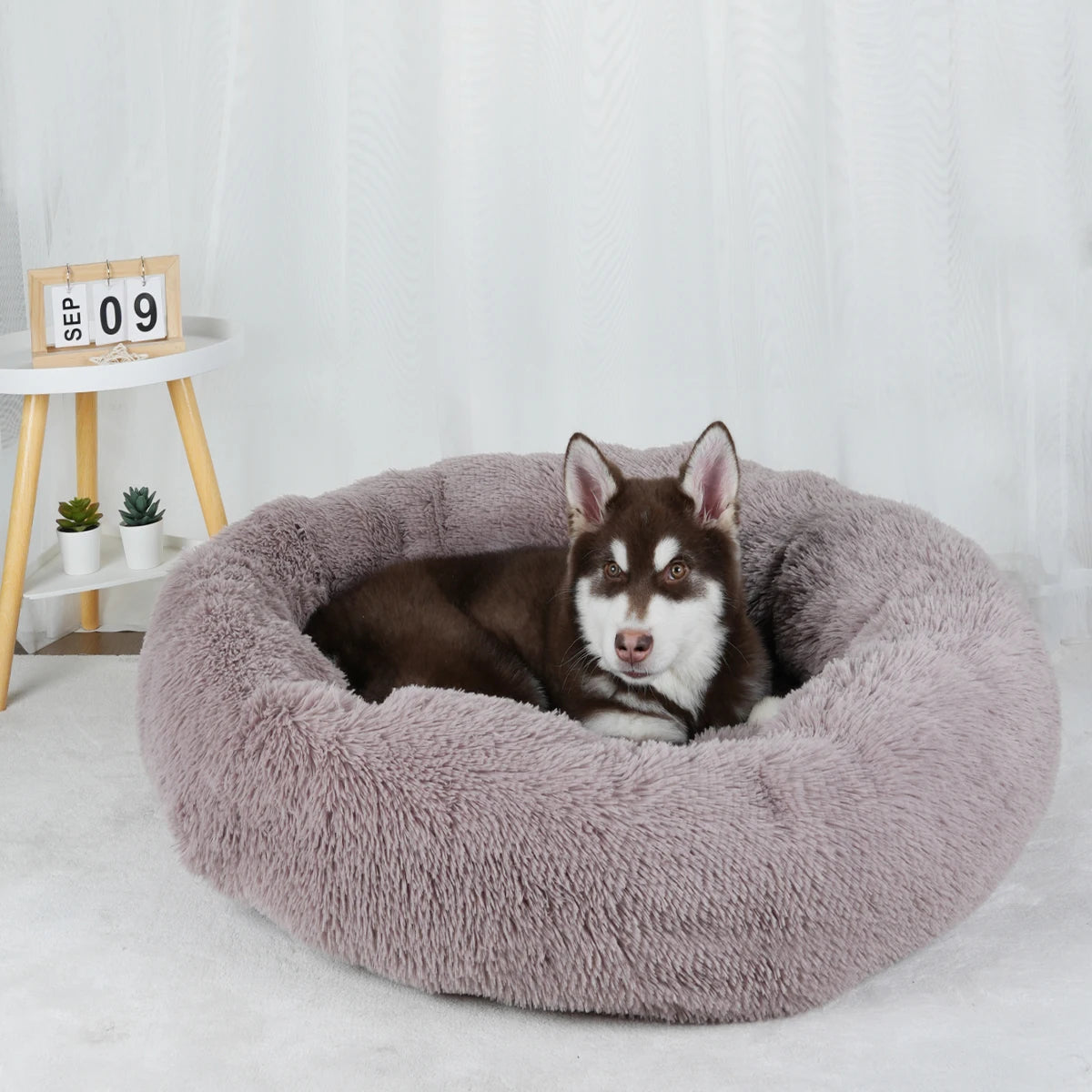 Cama Caliente Donut para Perros - Suave y Confortable (Anti-Ansiedad y Relajación )