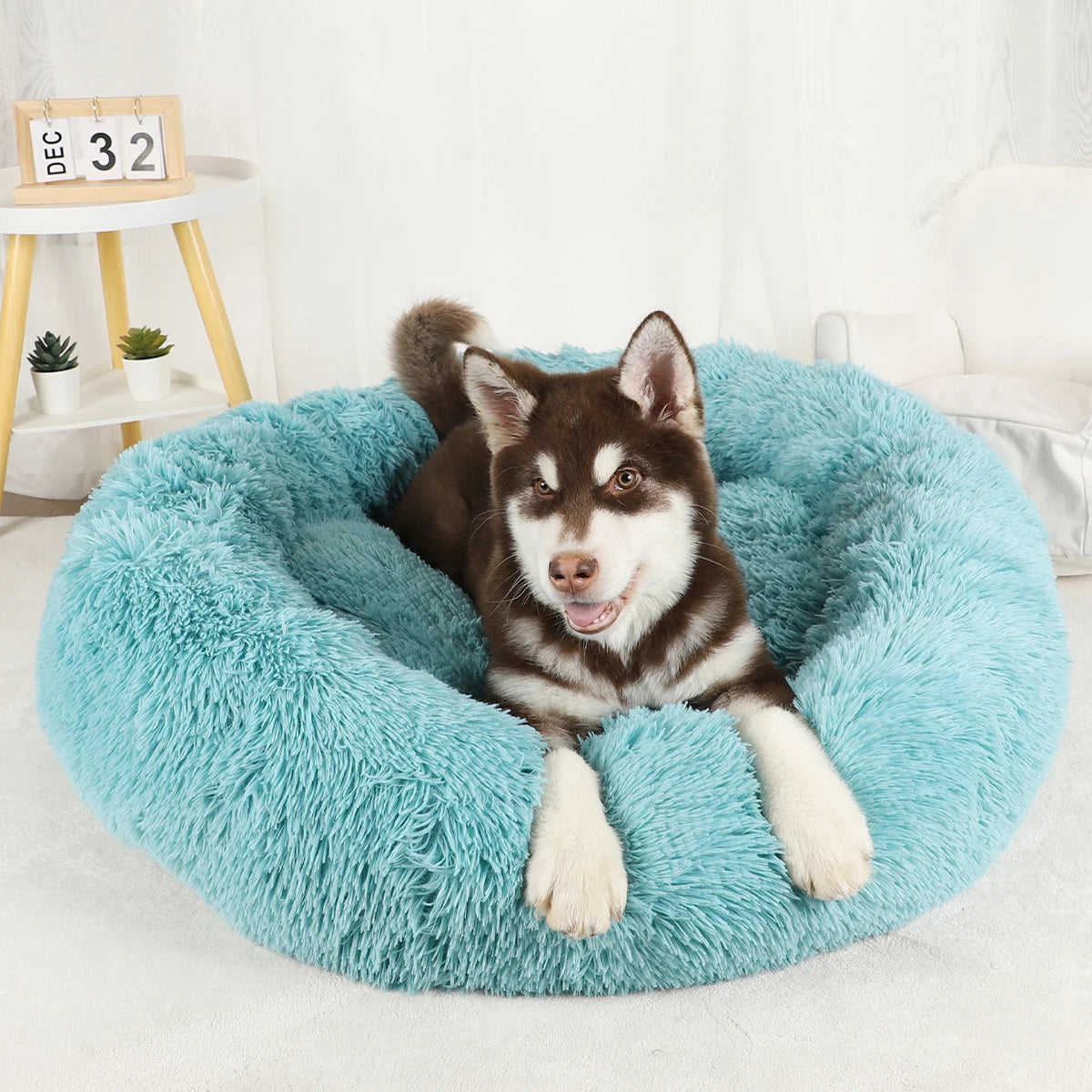 Cama Caliente Donut para Perros - Suave y Confortable (Anti-Ansiedad y Relajación )