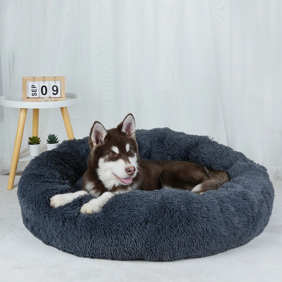 Cama Caliente Donut para Perros - Suave y Confortable (Anti-Ansiedad y Relajación )