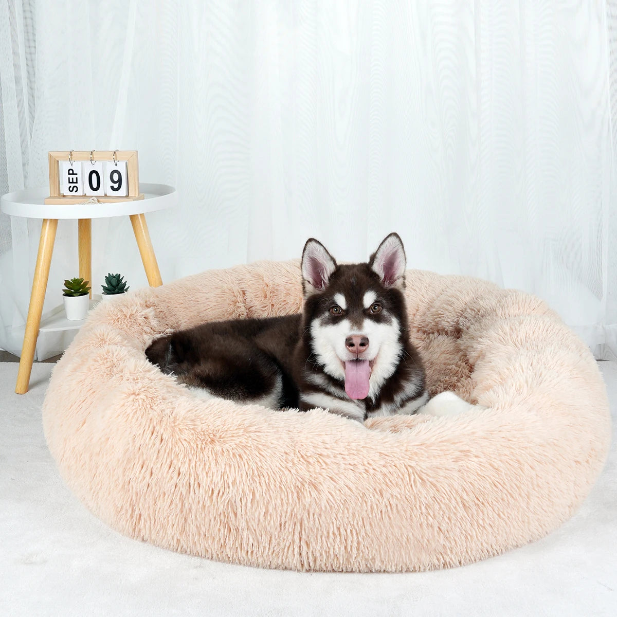 Cama Caliente Donut para Perros - Suave y Confortable (Anti-Ansiedad y Relajación )